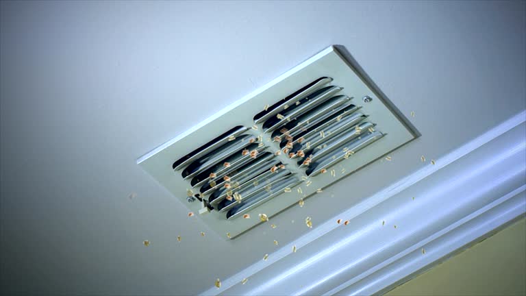 Affordable HVAC Duct Cleaning in Grass Valley, CA