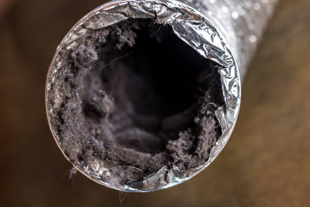 Best HVAC Air Duct Cleaning  in Grass Valley, CA